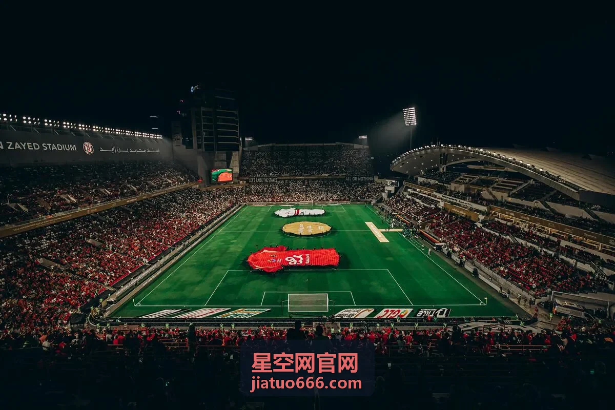 星空网达人账号筛选与人群画像的封面图